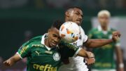 Palmeiras e Botafogo disputam o título brasileiro (foto: Cesar Greco/Palmeiras)