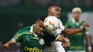 Palmeiras e Botafogo disputam o título brasileiro - Crédito: 