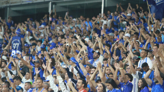 Torcida do Cruzeiro no Mineirão (foto: Edesio Ferreira/EM/D.A.Press)