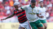 Flamengo e Palmeiras empataram por 1 a 1 (foto: Cesar Greco/Palmeiras)