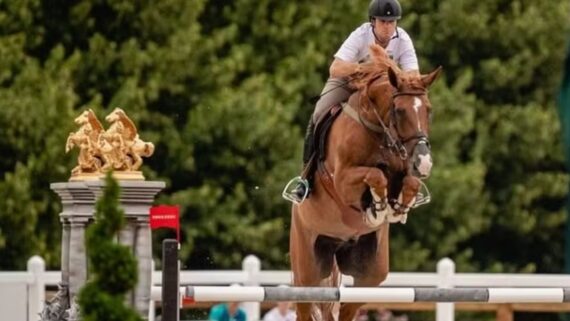 Pedro Veniss em salto com o cavalo (foto: Confederação Brasileira de Hipismo)