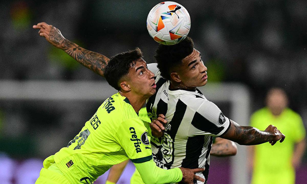 Botafogo venceu Palmeiras por 2 a 1 no jogo de ida das oitavas de final da Libertadores (foto: Pablo PORCIUNCULA / AFP)
