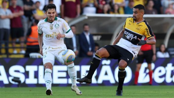 Palmeiras e Criciúma se enfrentam neste domingo (15/9) (foto: Cesar Greco/Palmeiras)