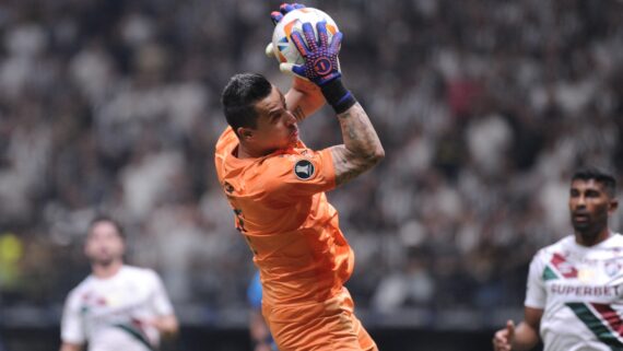 Goleiro Fábio, do Fluminense, agarra bola no ar (foto: Alexandre Guzanshe/EM/D.A Press)