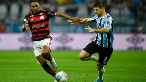 Lance de Grêmio x Flamengo (foto: Divulgação / Flamengo)