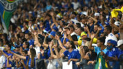 Torcida do Cruzeiro em jogo no Mineirão (foto: Ramon Lisboa/EM/D.A.Press)