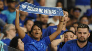 Torcedores do Cruzeiro no Mineirão (foto: Alexandre Guzanshe/EM/D.A.Press)