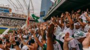 Mancha Verde é a principal torcida organizada do Palmeiras (foto: Reprodução/Redes Sociais)