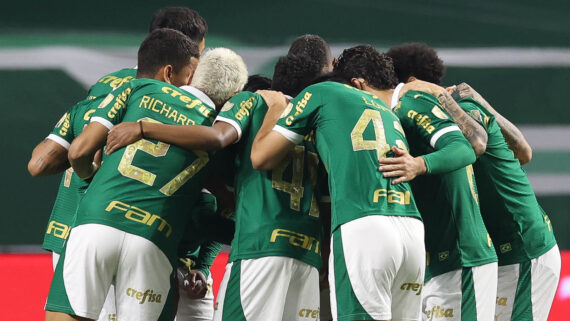 Palmeiras sonha com o título brasileiro (foto: Cesar Greco/Palmeiras)