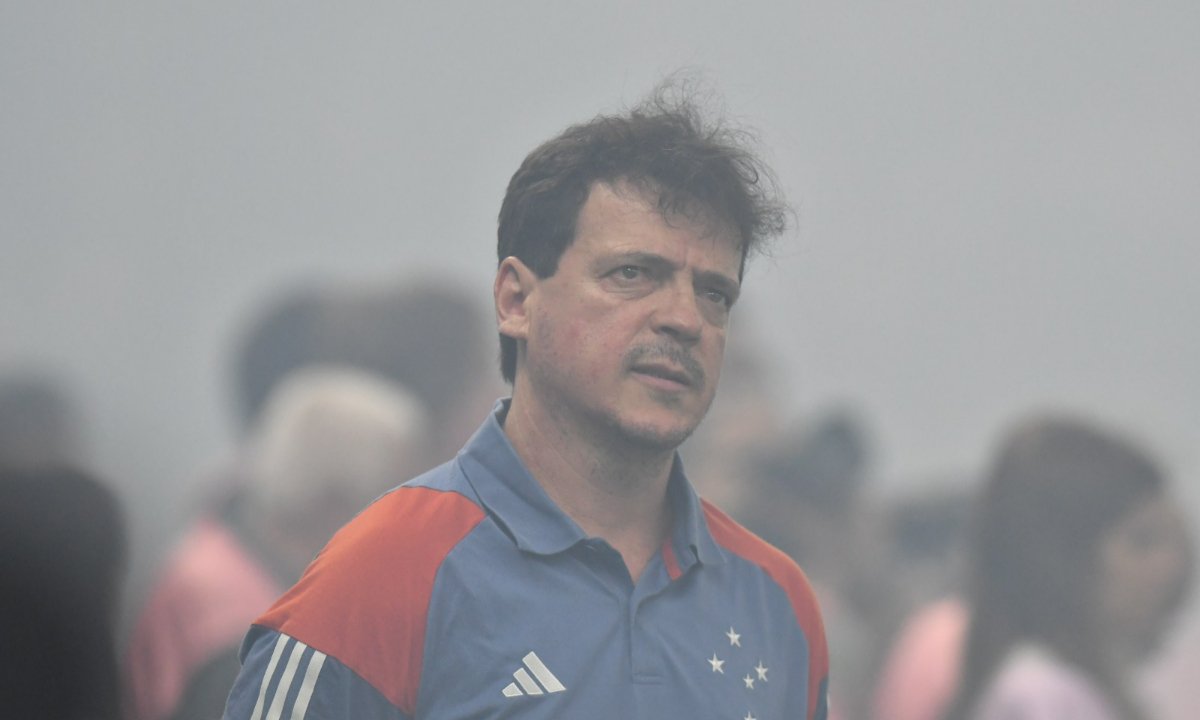 Fernando Diniz em jogo do Cruzeiro (foto: Alexandre Guzanshe/EM/D.A.Press)