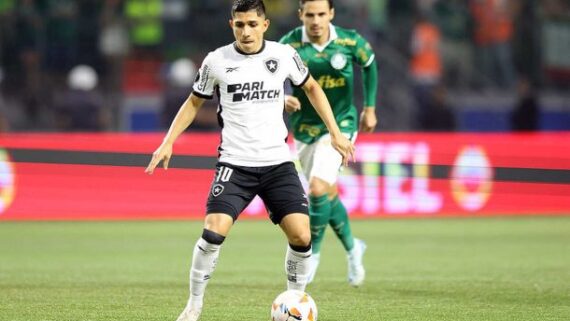 Jogadores de Botafogo e Palmeiras em campo (foto: Vitor Silva/Botafogo)