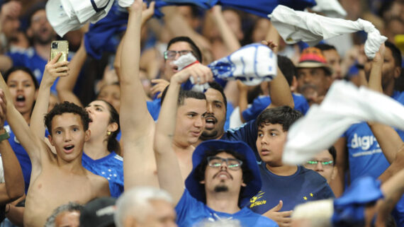 Torcedores do Cruzeiro no Mineirão (foto: Alexandre Guzanshe/EM/D.A. Press)