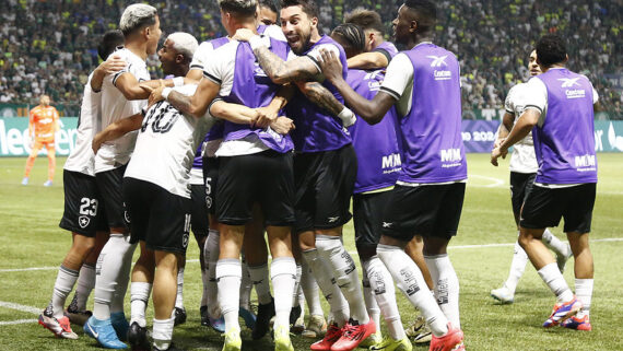 Elenco do Botafogo celebra gol contra o Palmeiras pelo Campeonato Brasileiro (foto: Vitor Silva/Botafogo)