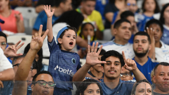 Torcida do Cruzeiro no Mineirão contra o Criciúma (foto: Ramon Lisboa/EM/D.A.Press)