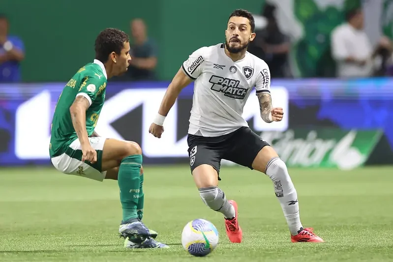 Palmeiras e Botafogo se enfrentaram em São Paulo (foto: Vítor Silva/Botafogo)
