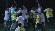 Jogadores do Palmeiras comemoram vitória sobre Cruzeiro (foto: Reprodução)