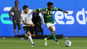 jogadores de Grêmio e Palmeiras (foto: Cesar Greco/Palmeiras)