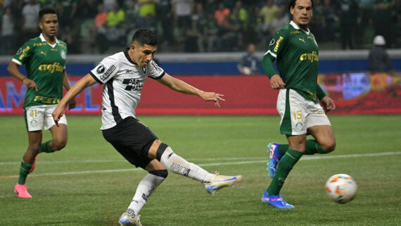 Jogo entre Palmeiras e Botafogo no Allianz Parque (foto: NELSON ALMEIDA / AFP)