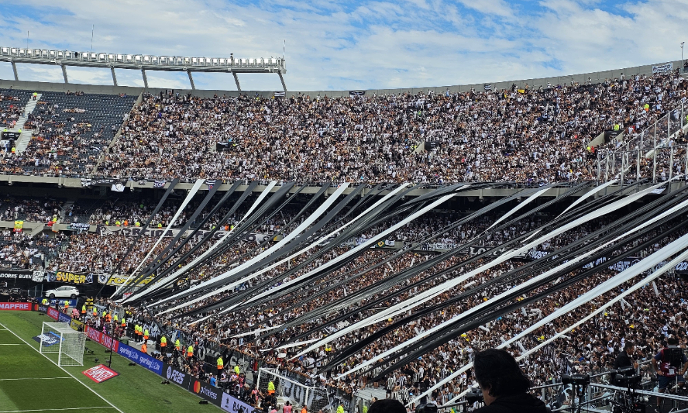 Setor que recebeu a torcida do Botafogo no Monumental - (foto: Samuel Resende/No Ataque)