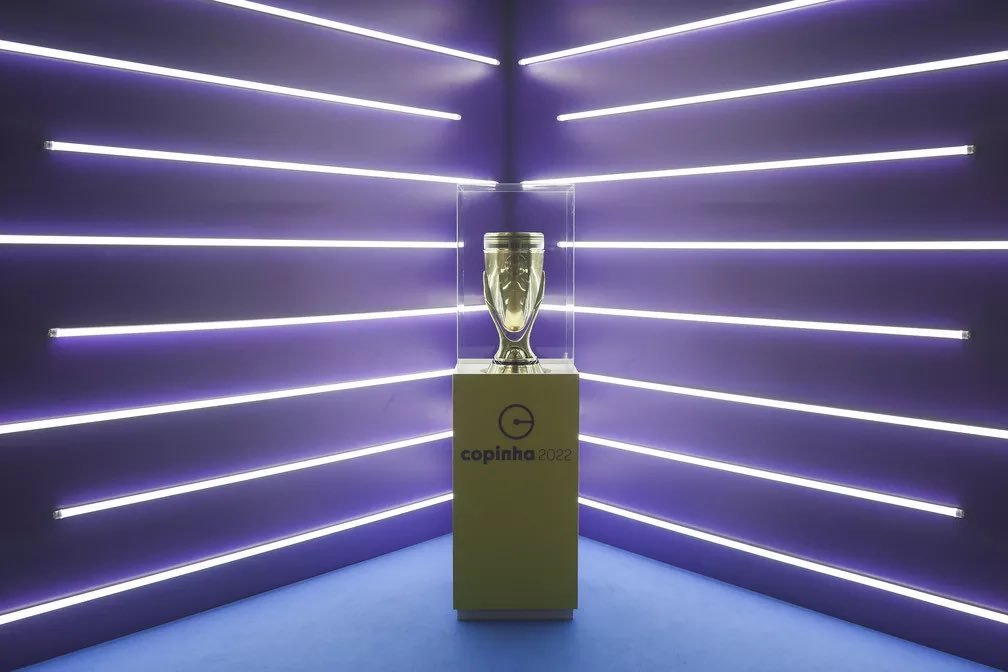 Copinha (foto: Divulgação FPF)