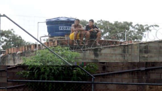 Cidade do Galo (foto: Alexandre Guzanshe/EM/D.A Press)