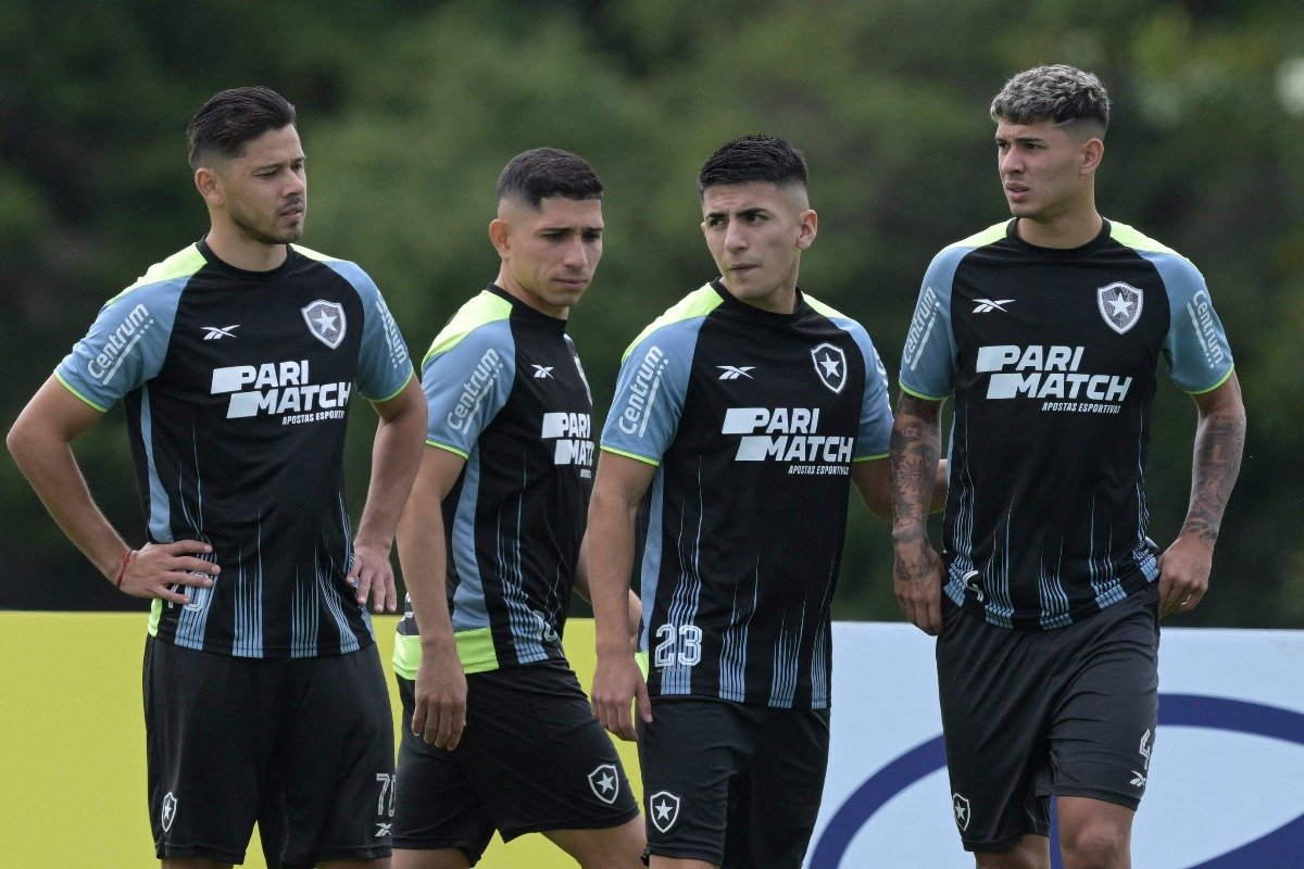 Jogadores do Botafogo em 2024 (foto: JUAN MABROMATA / AFP)