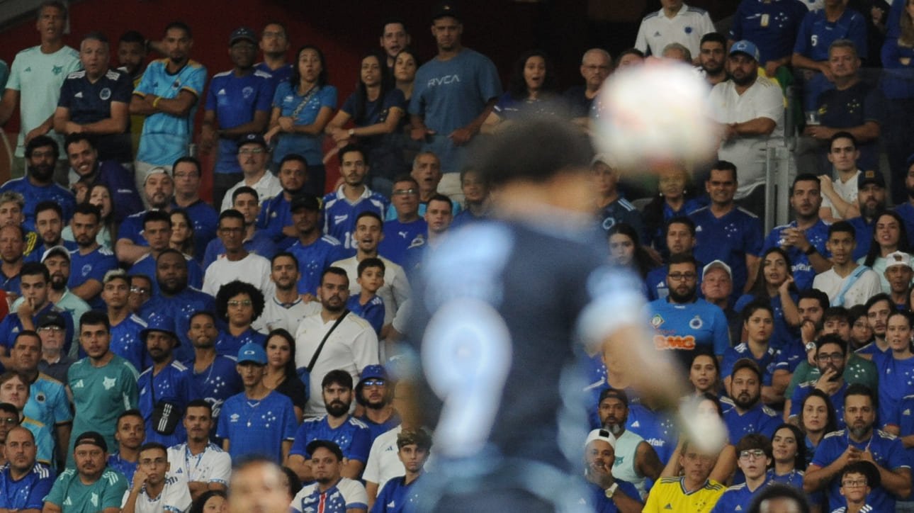 Torcida do Cruzeiro no Mineirão (foto: Alexandre Guzanshe/EM/D.A Press)