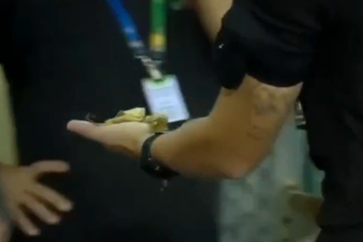 Pedaço de banana foi atirado em campo durante jogo do Brasileiro Feminino (foto: Reprodução/TV Brasil)