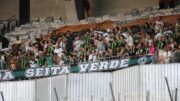 Torcida do América no Mineirão (foto: Alexandre Guzanshe/EM/D.A Press)