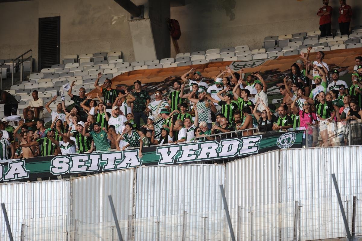 Torcida do América no Mineirão (foto: Alexandre Guzanshe/EM/D.A Press)