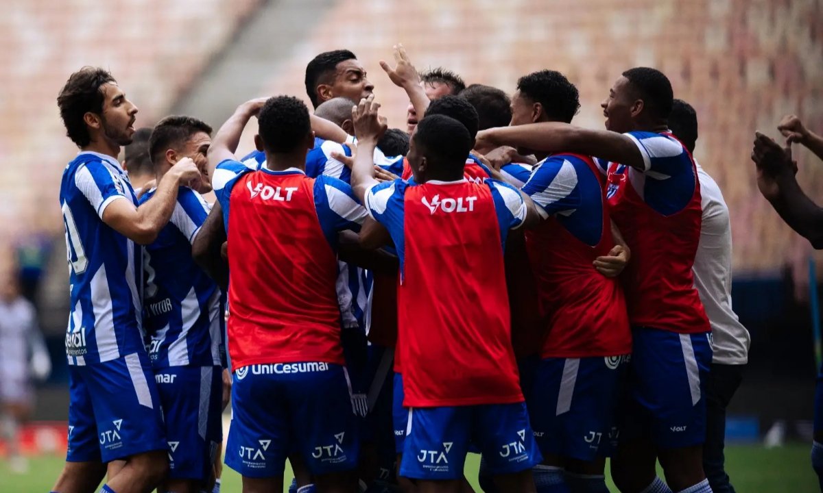 Avaí mira o acesso na Série B (foto: Guilherme Griebeler / Avaí F.C.)