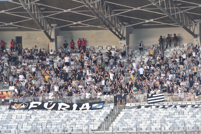 Torcedores do Botafogo no Mineirão durante jogo contra o Atlético (foto: Ramon Lisboa/EM/D.A. Press)