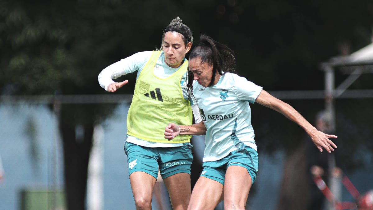 Jogadoras do Cruzeiro em treinamento na Toca da Raposa 2 (foto: Gustavo Martins/Cruzeiro)