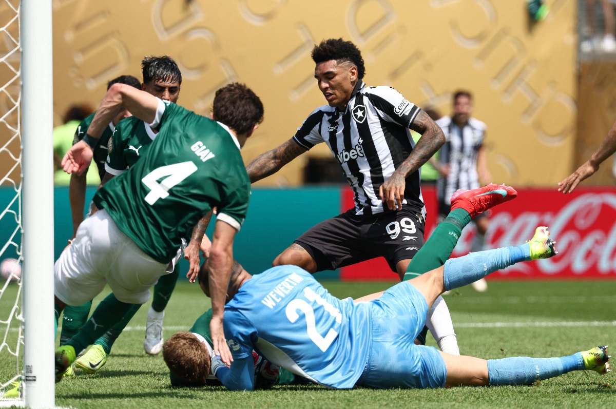 Bruno Fuchs usou o rosto para tentar evitar gol do Botafogo diante do Palmeiras (foto: Franck Fife/AFP)