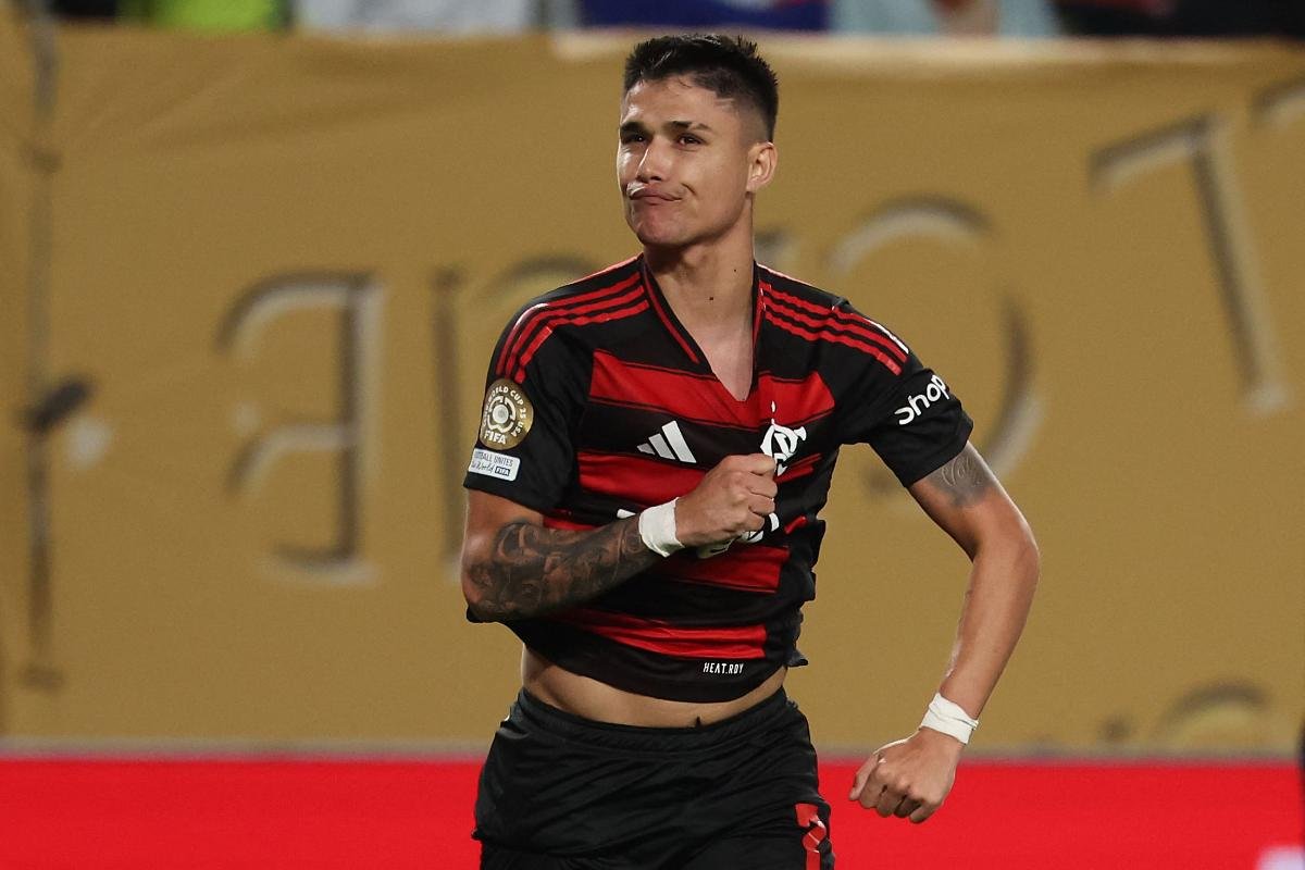 Luiz Araújo, atacante do Flamengo (foto: FRANCK FIFE / AFP)