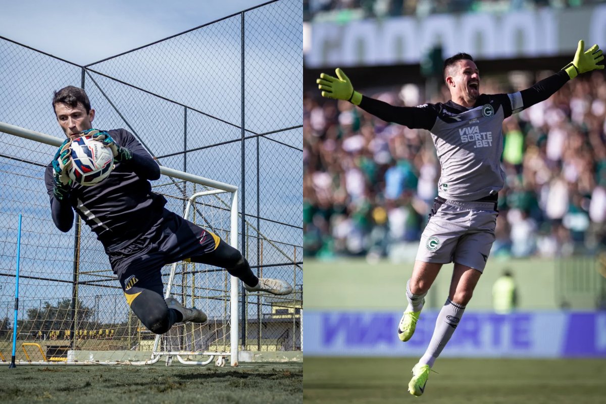 Goleiro Airton defende chute em treino. do Novorizontino. Tadeu comemora gol em jogo do Goiás (foto: Divulgação/Novorizontino e Divulgação/Tadeu)