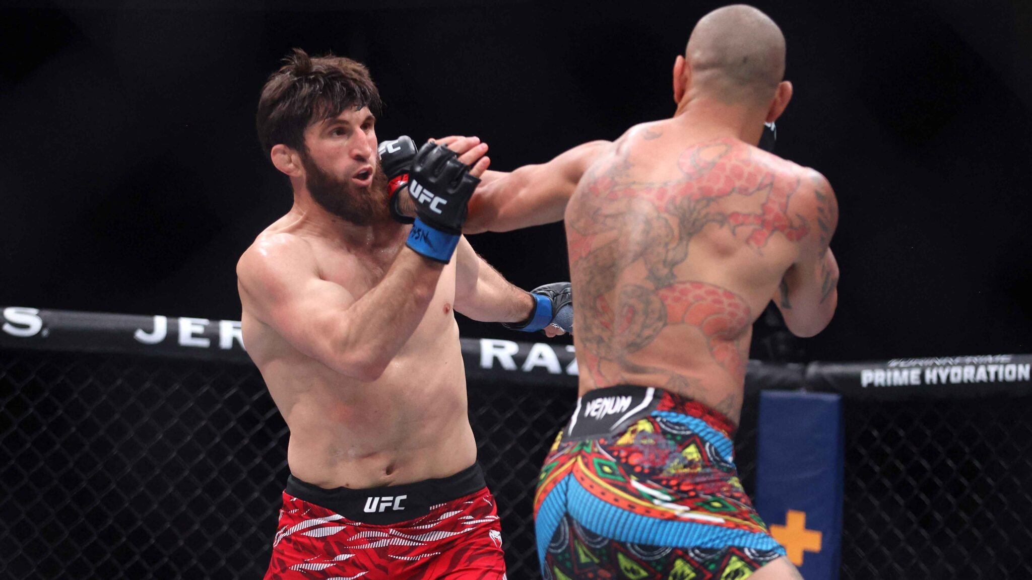 Luta entre Ankalaev e Poatan - (foto: Ian Maule/Getty Images/AFP)