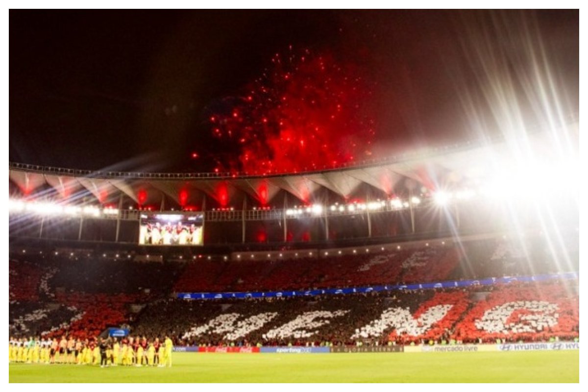 Torcida do Flamengo faz comemoração durante partida (foto: Adriano Fontes/Flamengo)