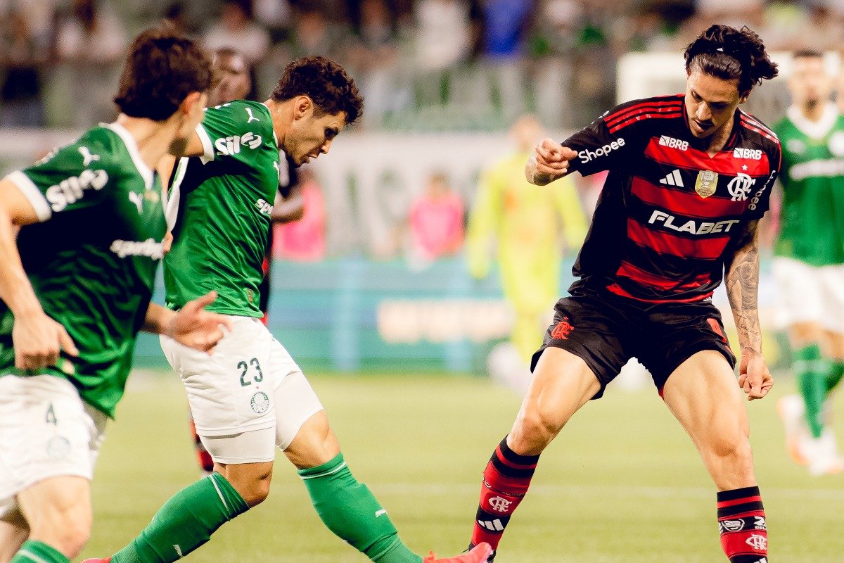 Lance do jogo entre Palmeiras e Flamengo em maio de 2025, no Allianz Parque (foto: Adriano Fontes/Flamengo - 25/5/2025)