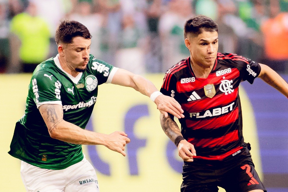 Jogadores de Palmeiras e Flamengo durante jogo pelo Brasileiro em maio de 2025 (foto: Adriano Fontes/Flamengo)
