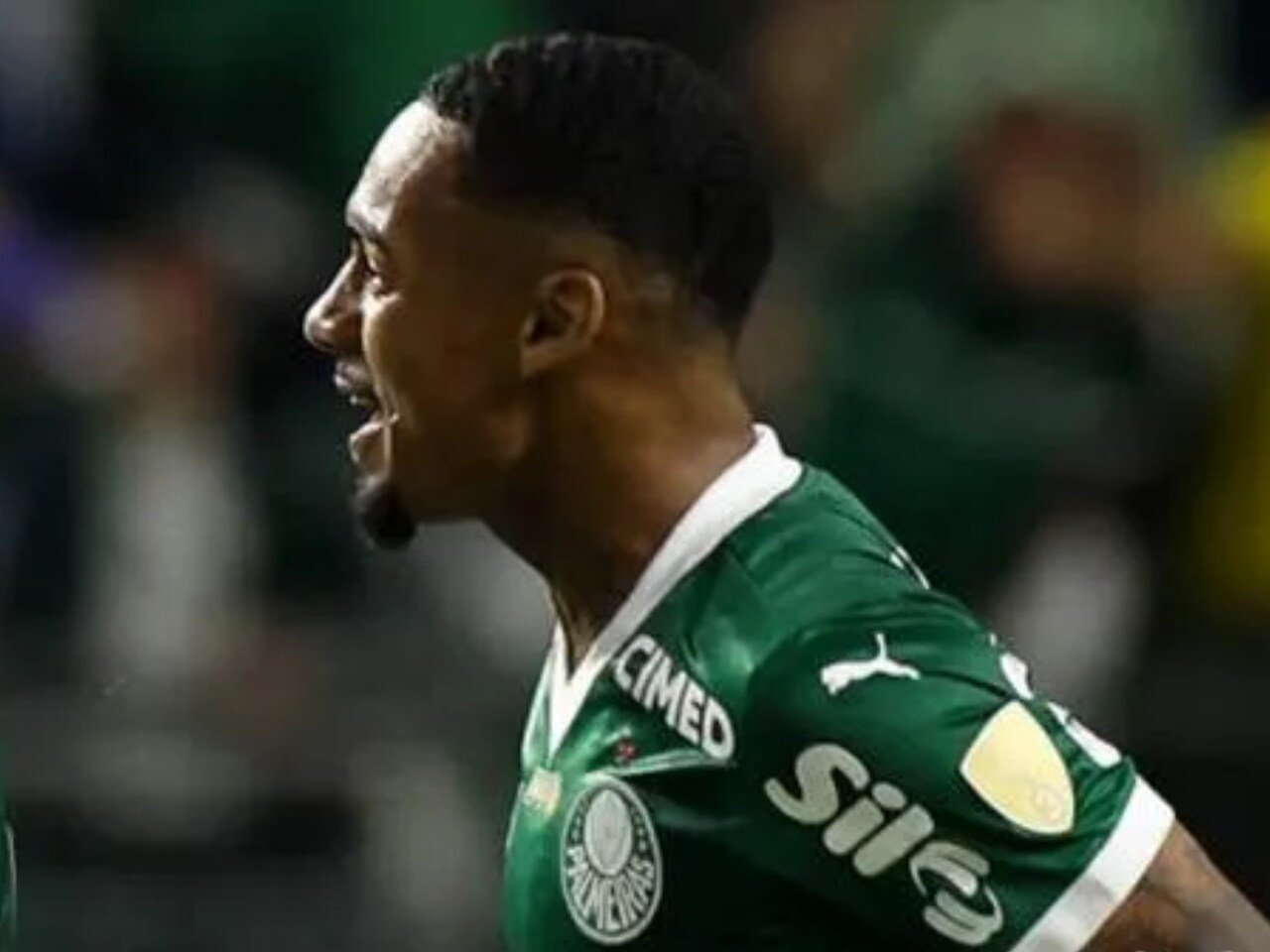 Allan em atuação pelo Palmeiras (foto: (Foto: César Greco/SEP))