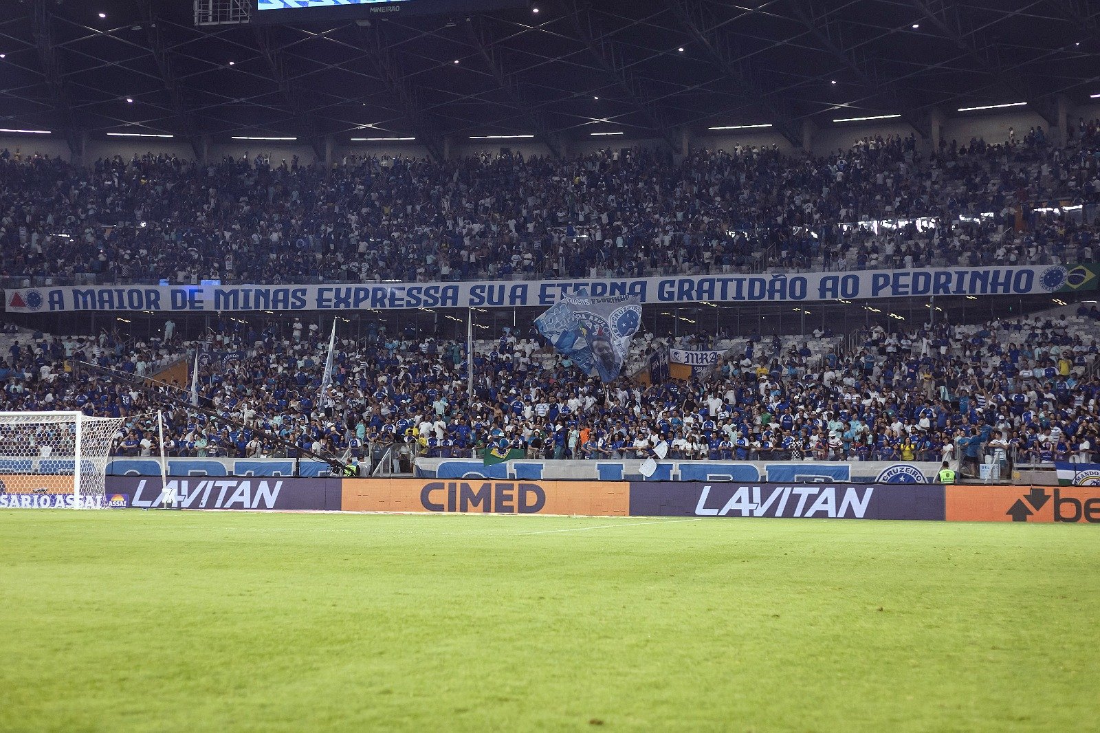 Torcida do Cruzeiro durante partida no Mineirão (foto: Gustavo Aleixo/Cruzeiro)