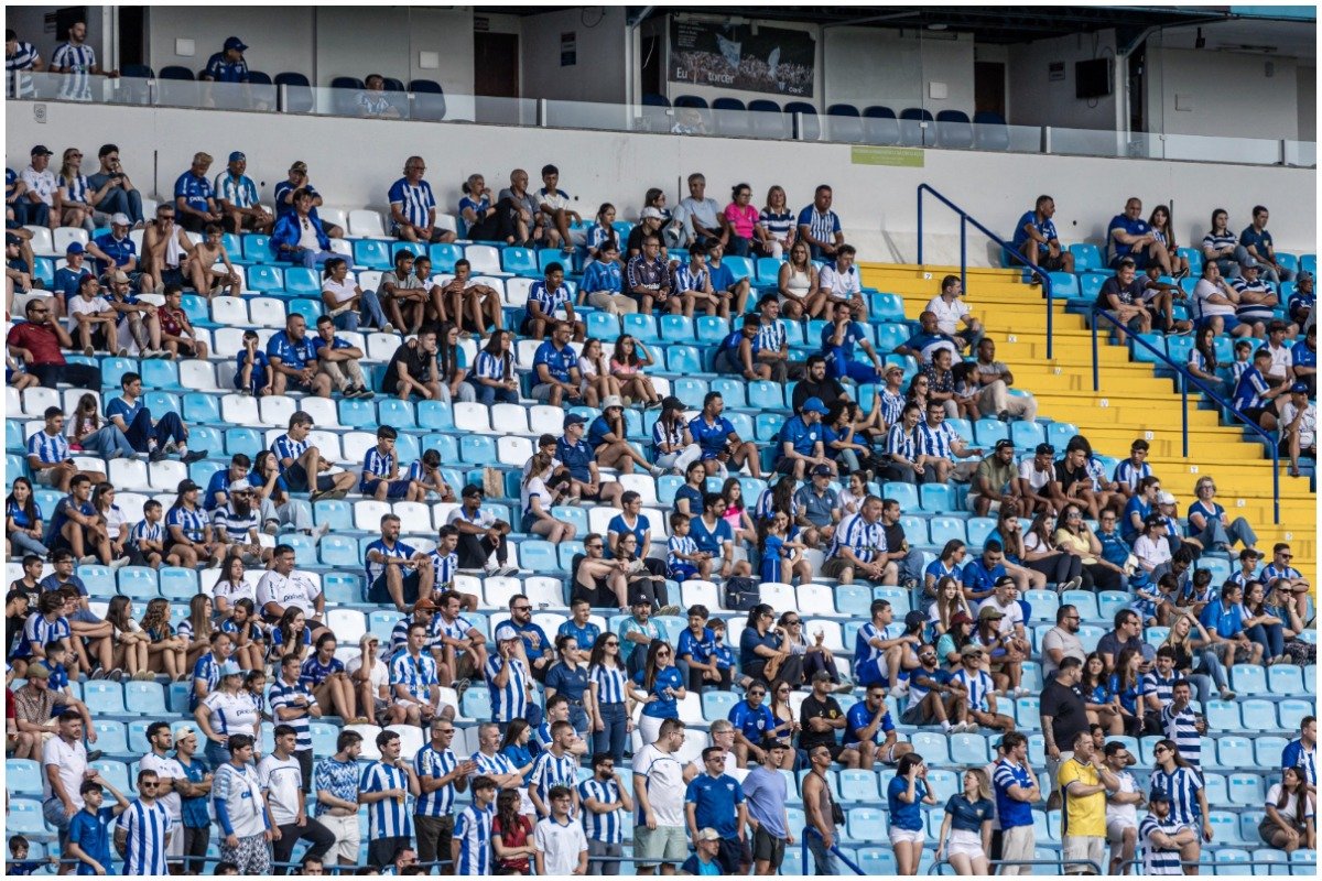 Torcida do Avaí durante partida (foto: Divulgação/Avaí)
