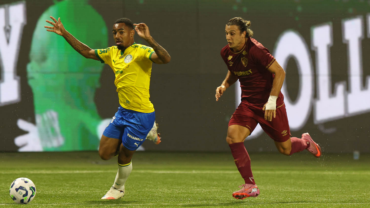 Palmeiras x Fluminense pelo Campeonato Brasileiro (foto: Cesar Grecp/Palmeiras)