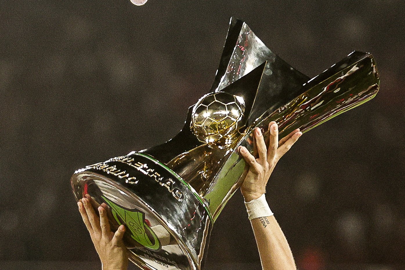 Taça do Campeonato Brasileiro (foto: Gilvan de Souza/Flamengo)