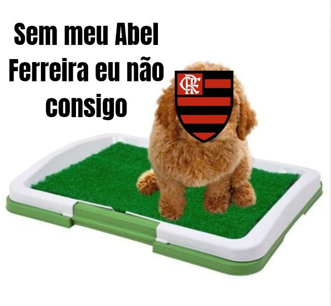 Meme da vitória do PSG sobre o Flamengo