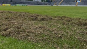 Gramado do Baenão, estádio do Remo - Crédito: 