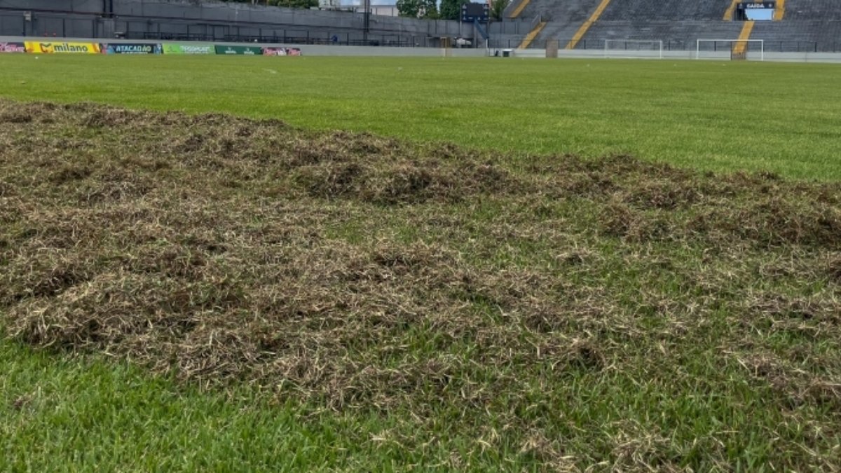 Gramado do Baenão, estádio do Remo (foto: Divulgação/Remo)