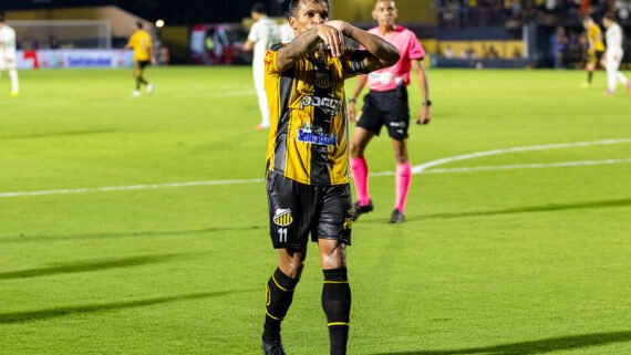 Robson, do Novorizontino, comemorando gol (foto: Juan Rodrigues/ Novorizontino)