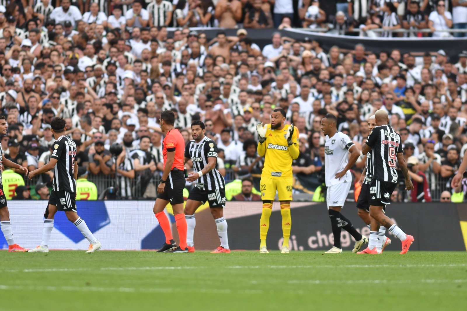 Atlético x Botafogo, Libertadores (foto: Alexandre Guzanshe/EM/D.A Press)